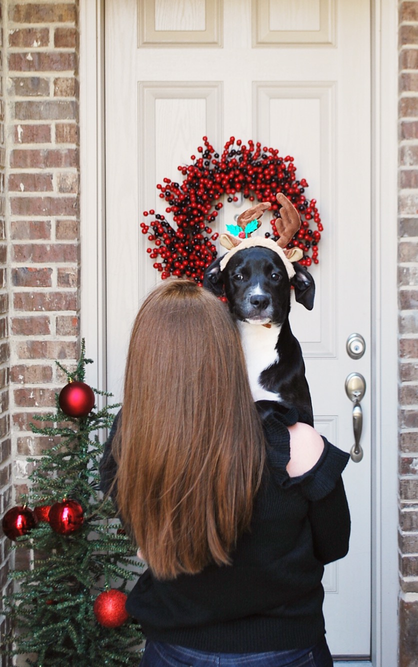 Outdoor Christmas  Decor